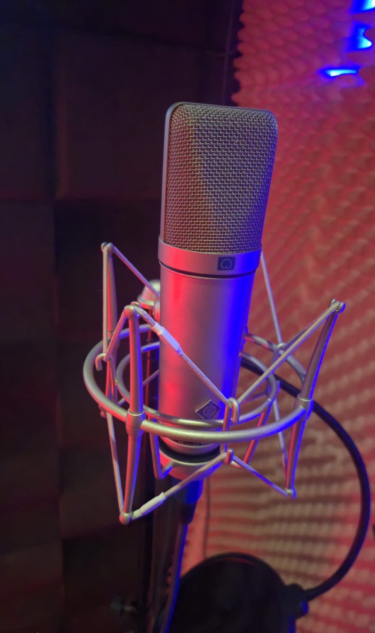Peace King Studios close microphone detail